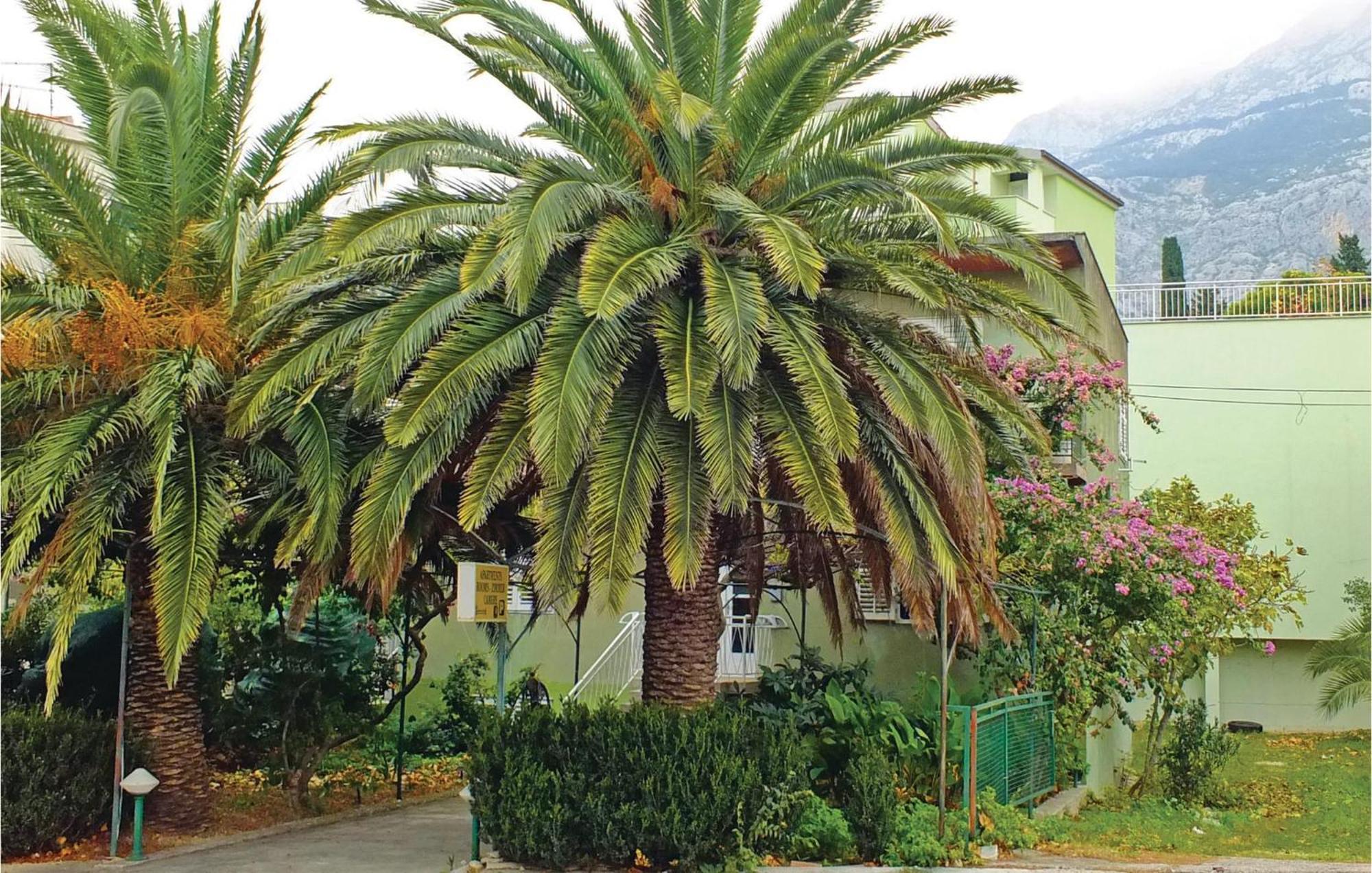 Lovely Apartment In Makarska With Wifi Zewnętrze zdjęcie